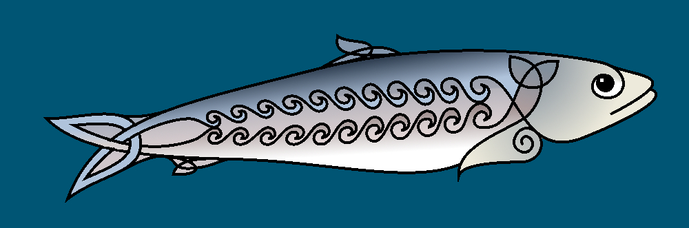 sardine - croquis
