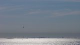 thumbnails/003-03 Argent - Silver 2007.JPG.small.jpeg