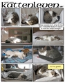 thumbnails/001-poes02.jpg.small.jpeg