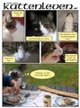 thumbnails/002-poes03.jpg.small.jpeg